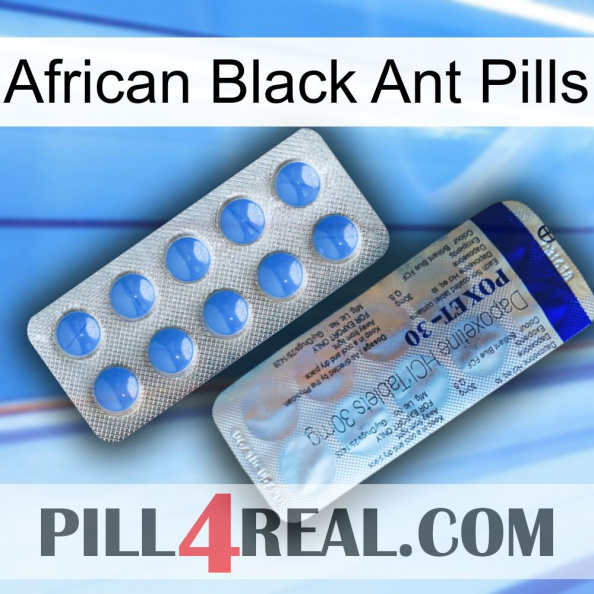 African Black Ant Pills 39.jpg